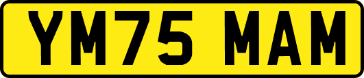 YM75MAM