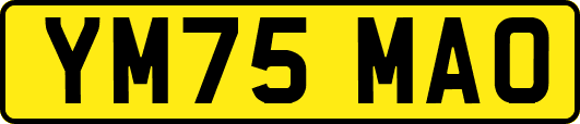 YM75MAO