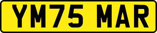 YM75MAR