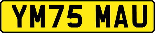 YM75MAU