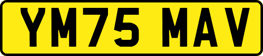 YM75MAV