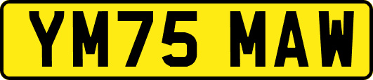 YM75MAW