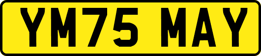 YM75MAY