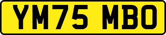 YM75MBO