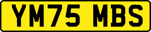 YM75MBS