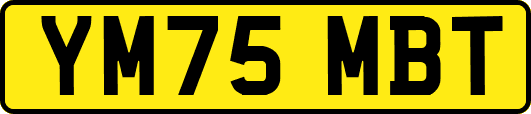 YM75MBT