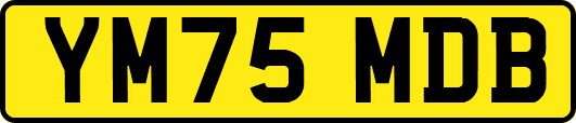 YM75MDB