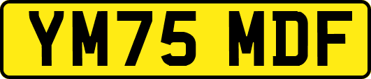 YM75MDF