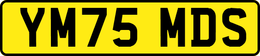 YM75MDS