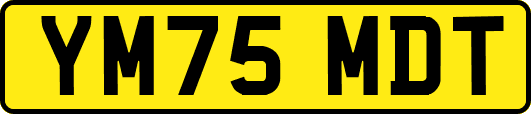 YM75MDT