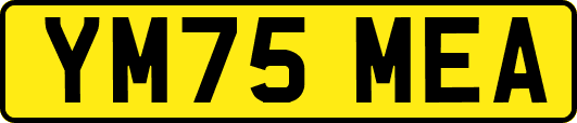 YM75MEA