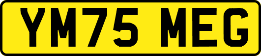 YM75MEG