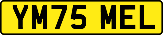 YM75MEL