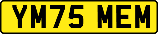 YM75MEM