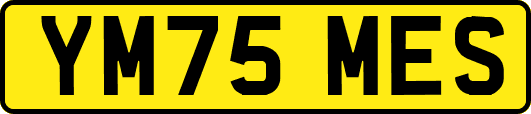 YM75MES