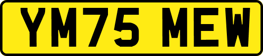 YM75MEW