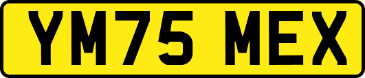 YM75MEX