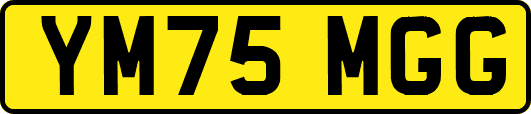 YM75MGG