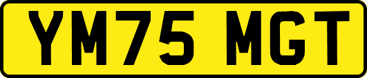 YM75MGT