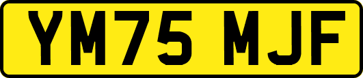 YM75MJF