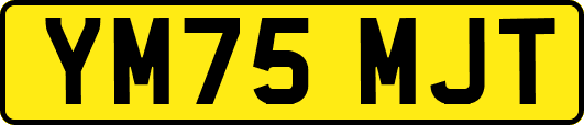 YM75MJT