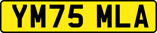 YM75MLA