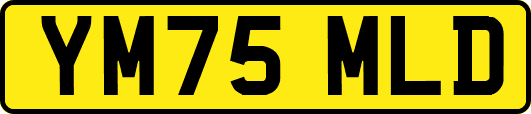 YM75MLD