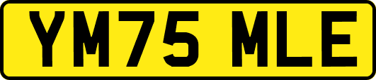 YM75MLE