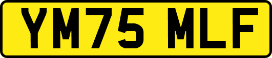 YM75MLF