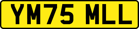 YM75MLL