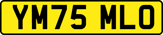 YM75MLO
