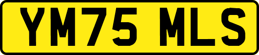 YM75MLS