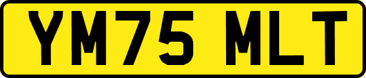 YM75MLT