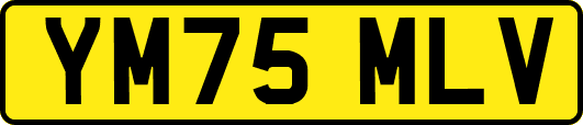 YM75MLV