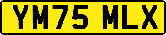 YM75MLX