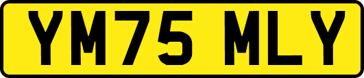 YM75MLY