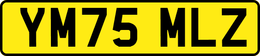 YM75MLZ