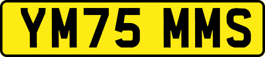 YM75MMS