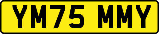 YM75MMY