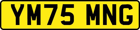 YM75MNG