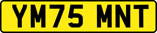 YM75MNT