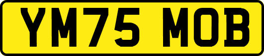 YM75MOB