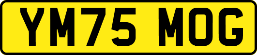 YM75MOG