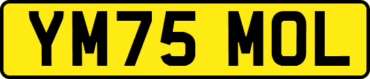 YM75MOL