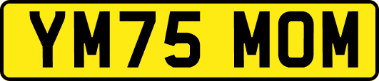 YM75MOM