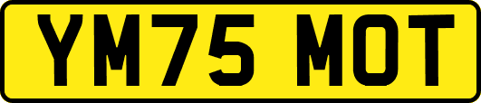 YM75MOT