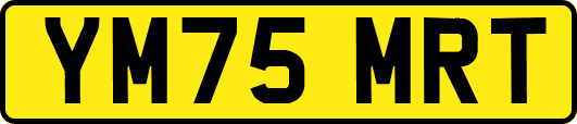 YM75MRT