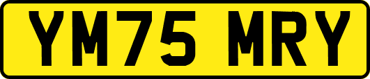 YM75MRY