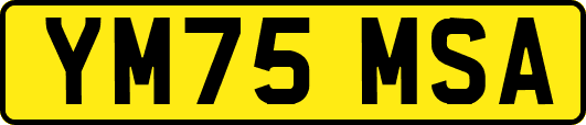 YM75MSA