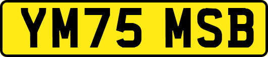 YM75MSB